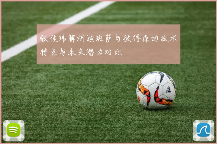 张佳玮解析迪班萨与彼得森的技术特点与未来潜力对比