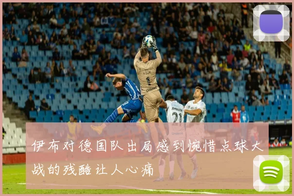 伊布对德国队出局感到惋惜点球大战的残酷让人心痛