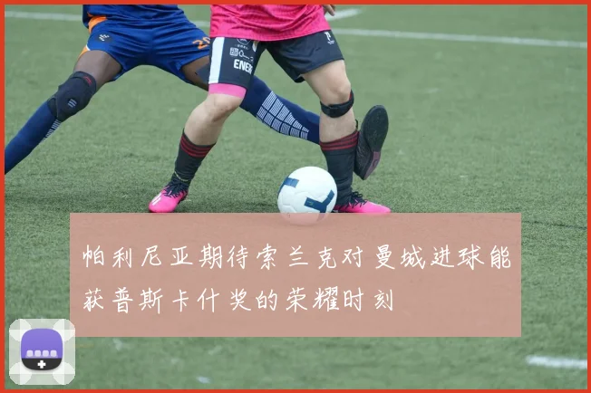 帕利尼亚期待索兰克对曼城进球能获普斯卡什奖的荣耀时刻